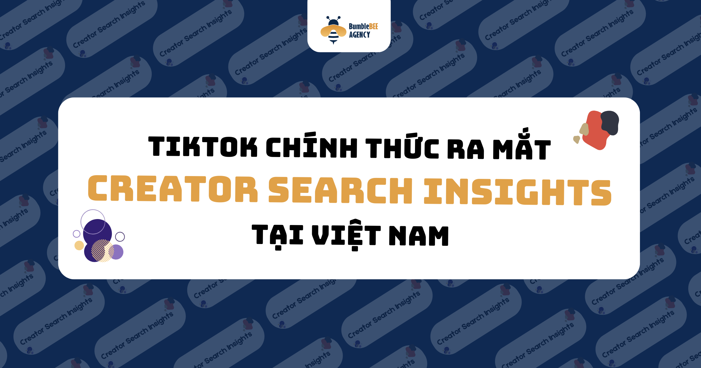 tiktok chính thức ra mắt creator search insights